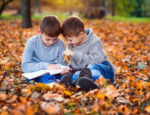 Novembre 2026, gli eventi consigliati da Vivolibro